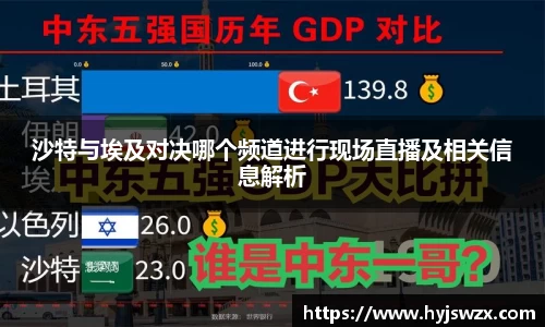 沙特与埃及对决哪个频道进行现场直播及相关信息解析
